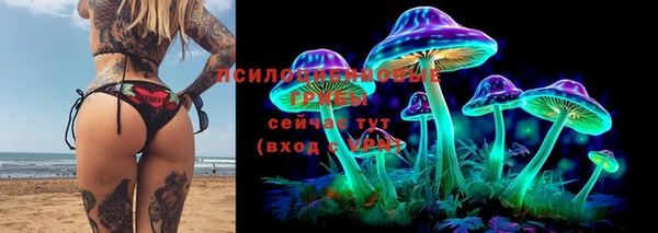 эйфоретик Алексеевка