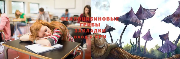 2c-b Нефтегорск