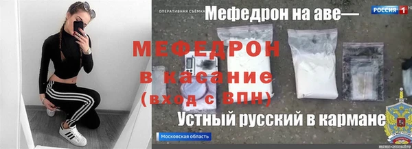 мет Алексин