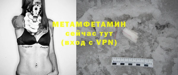 мет Алексин