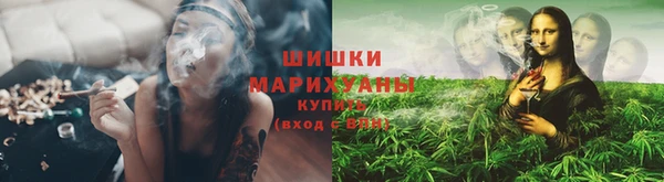 шишки Нея