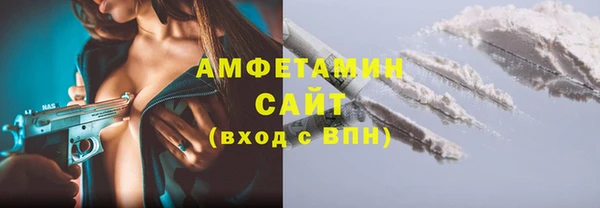 мет Алексин