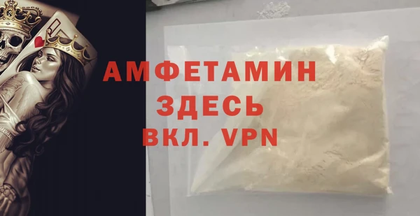 мет Алексин