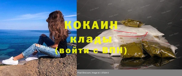 шишки Нея