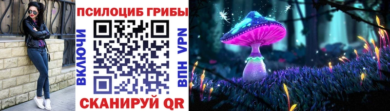 купить наркотики цена  Осинники  Псилоцибиновые грибы ЛСД 